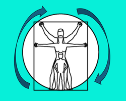 Ultralydscanning BASIC REFRESH JUNI 2026